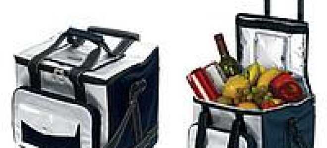 Выбор лучшего автомобильного холодильника на каждый день