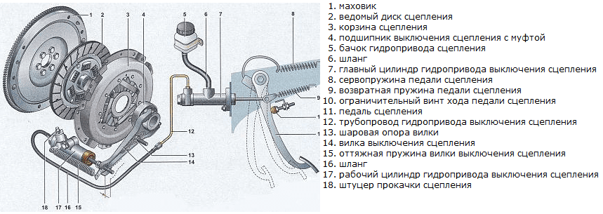 сцепление