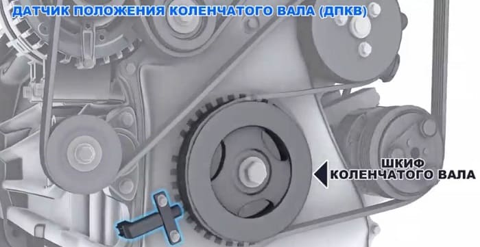 дпкв