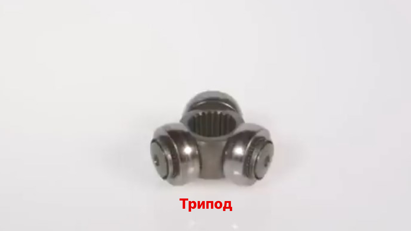 трипоид